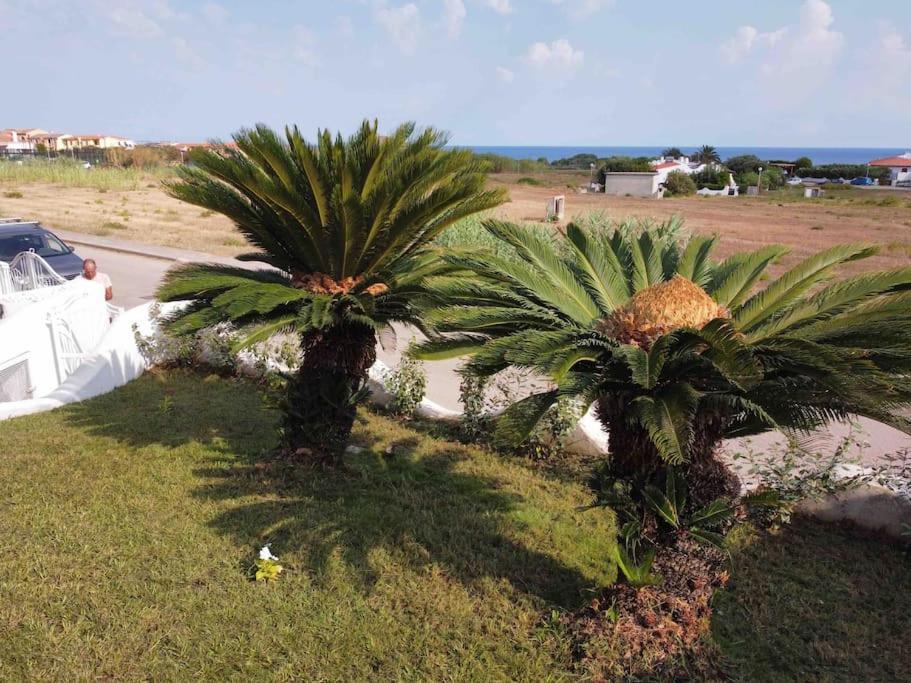 Casa Su Soli Sardu II - Sea View Valledoria  Eksteriør billede